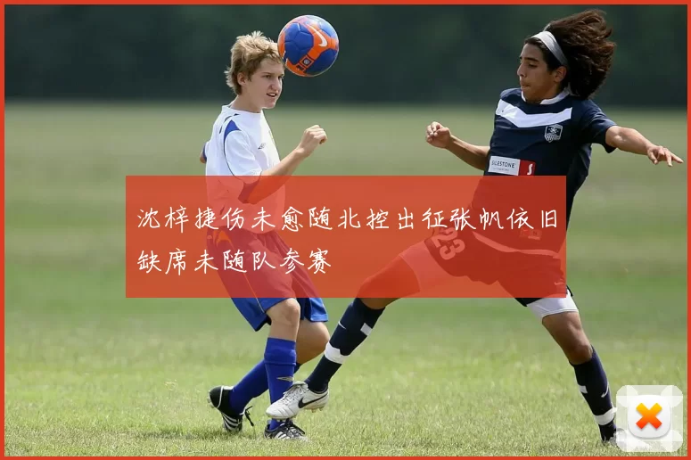 沈梓捷伤未愈随北控出征张帆依旧缺席未随队参赛