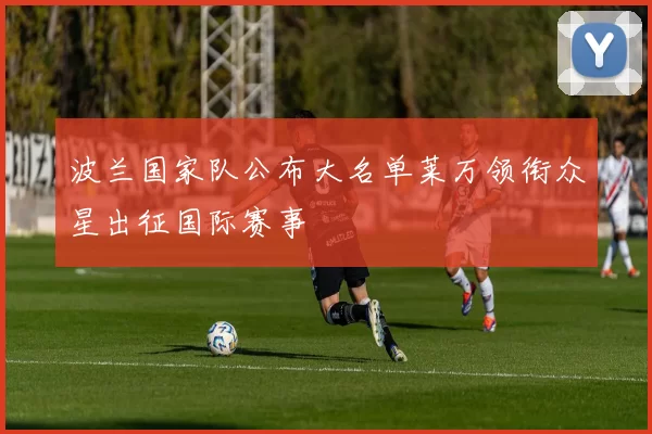 波兰国家队公布大名单莱万领衔众星出征国际赛事